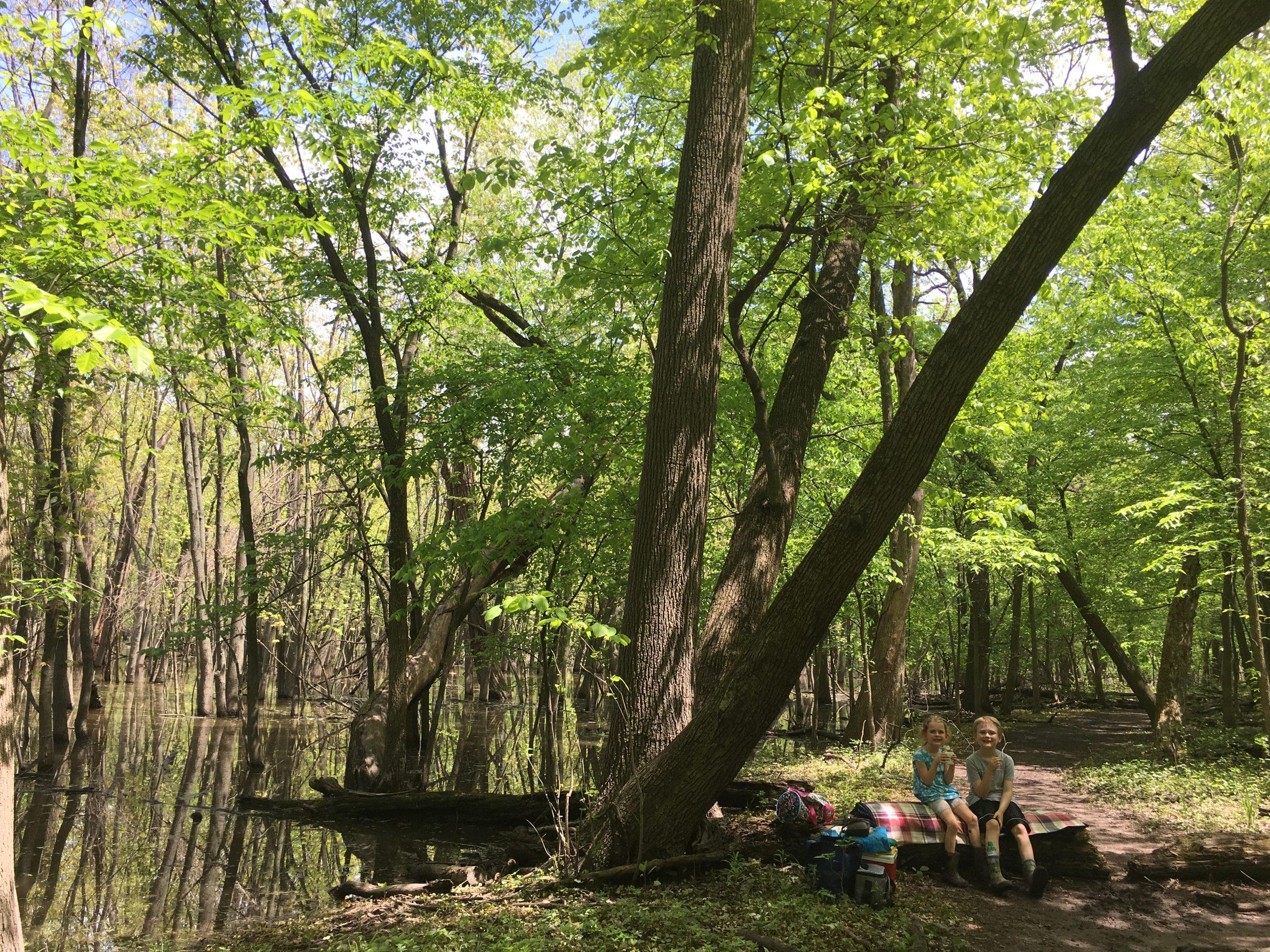 kids on picnic in woods