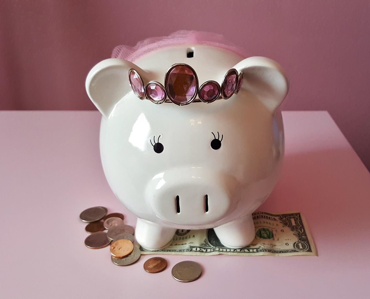 wp content/uploads///piggy bank _
