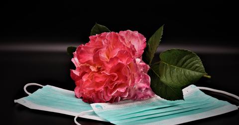 love in the pandemic