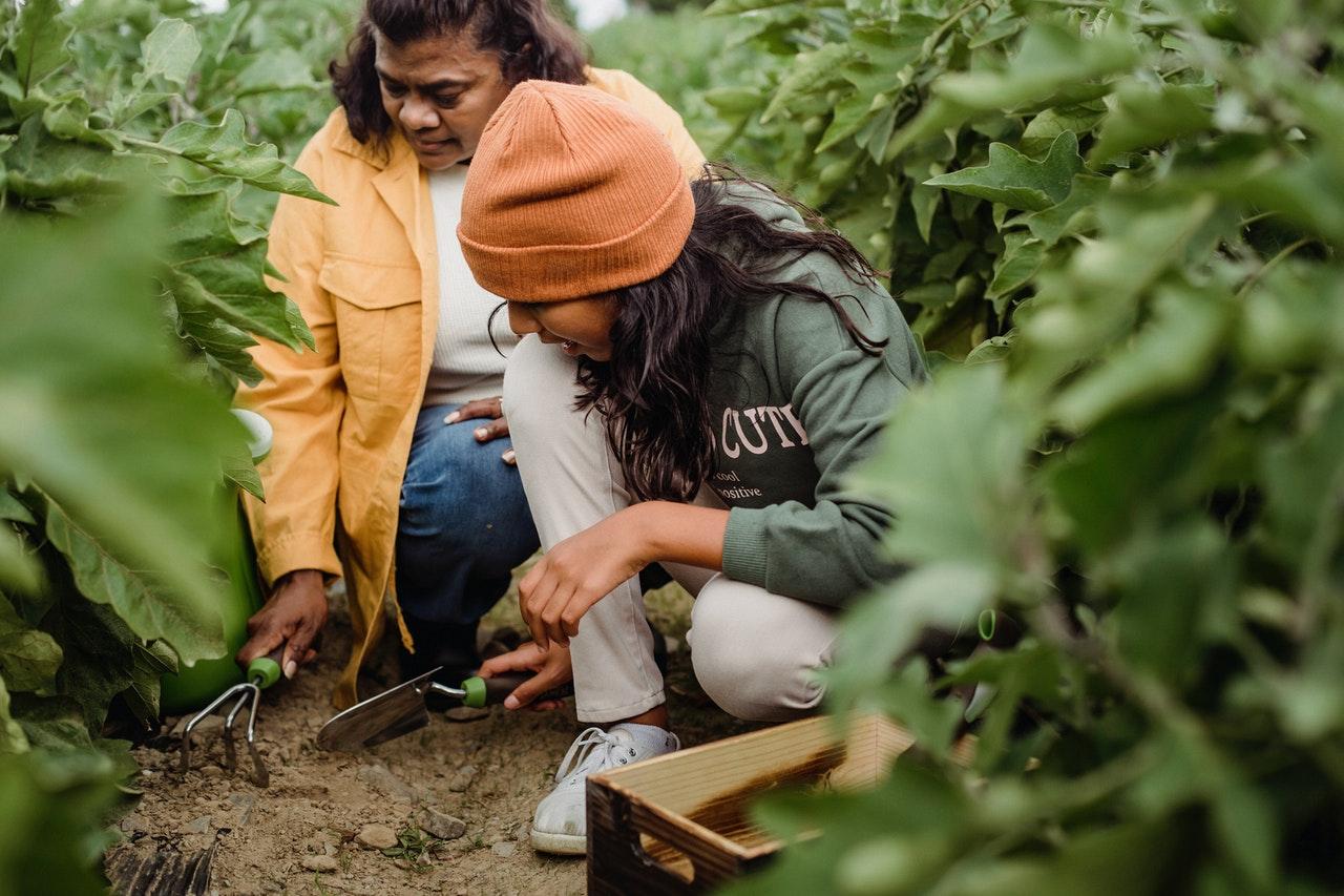 women on a farm