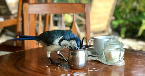 Employee theft, small business theft, startup theft,