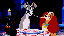 wp content/uploads///ladyandthetramp