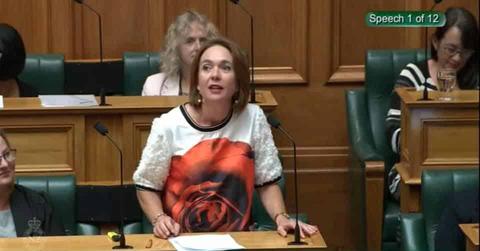 Ginny Andersen miscarriage bereavement law New Zealand