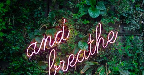 wp content/uploads///max van den oetelaar buymYmRQU unsplash scaled