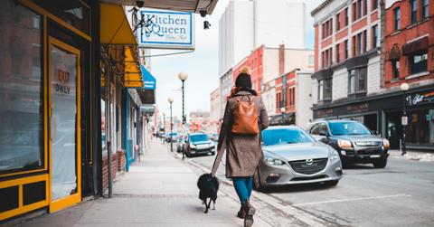 pexels-erik-mclean-4084940