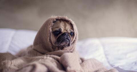 sleep, sleep deprivation,