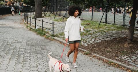 pexels-samson-katt-5255581