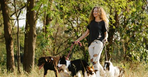 ///pexels blue bird  scaled