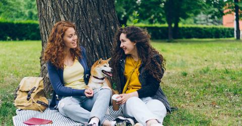 pexels-silverkblack-20897072