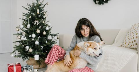 pexels-julia-volk-5110840