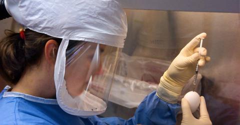 woman researcher vaccines