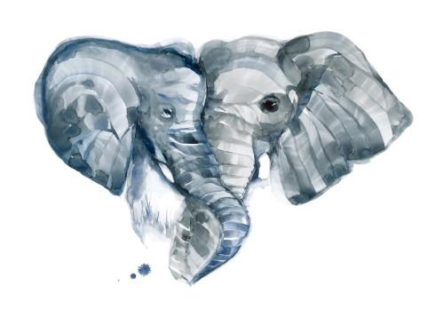 Shane Frase - Elephant Watercolor Print -11x14- $40(1)