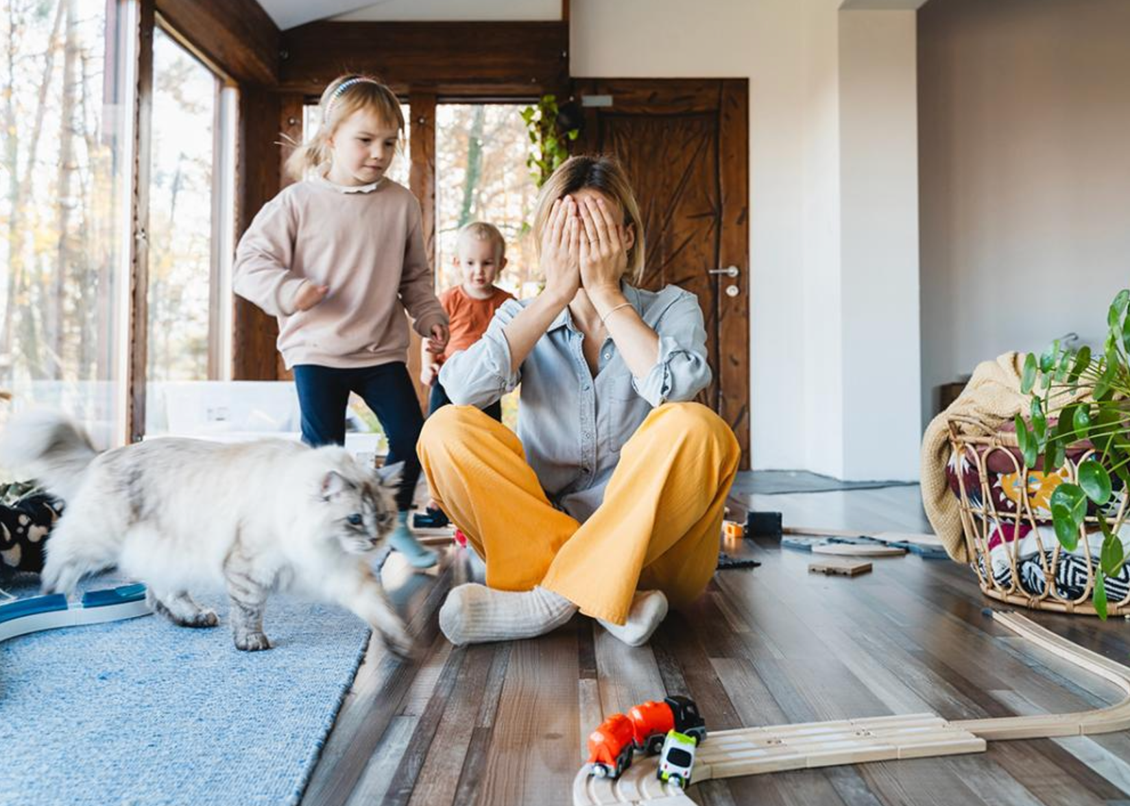 Screenshot 2024-12-20 at 1.15.55 PM