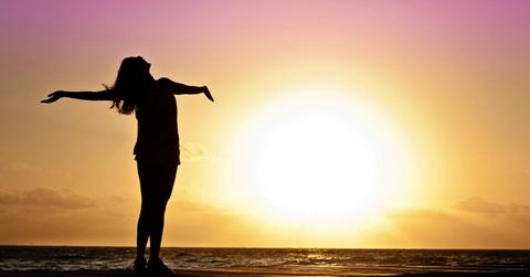 pexels-jill-wellington-1638660-39853