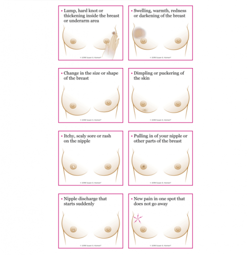 wp content/uploads///WARNING SIGNS OF BREAST CANCER CHART x