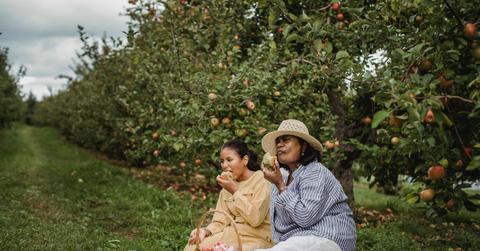 pexels-zen-chung-5529025