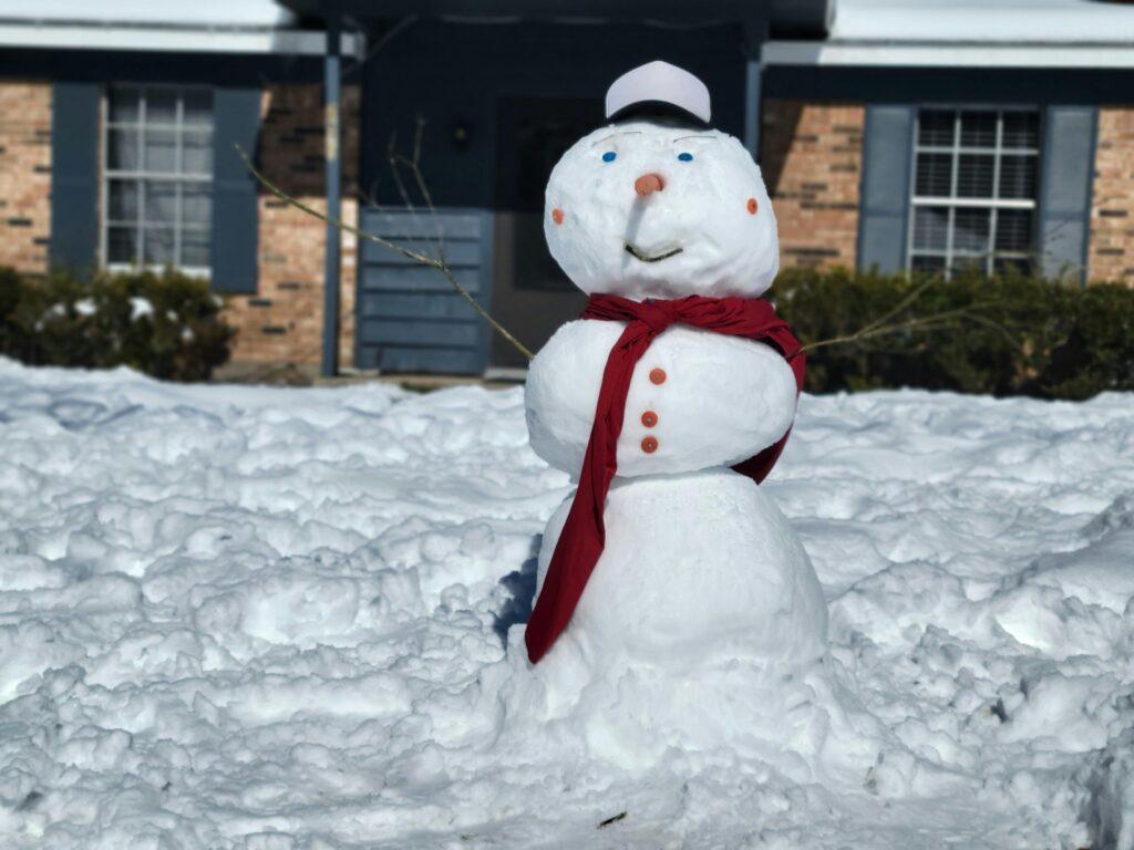 ///pexels cr santamaria   x