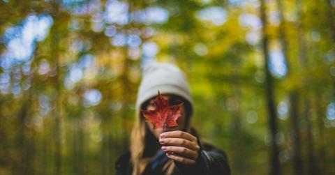 ///scott walsh JmAPWESzA unsplash