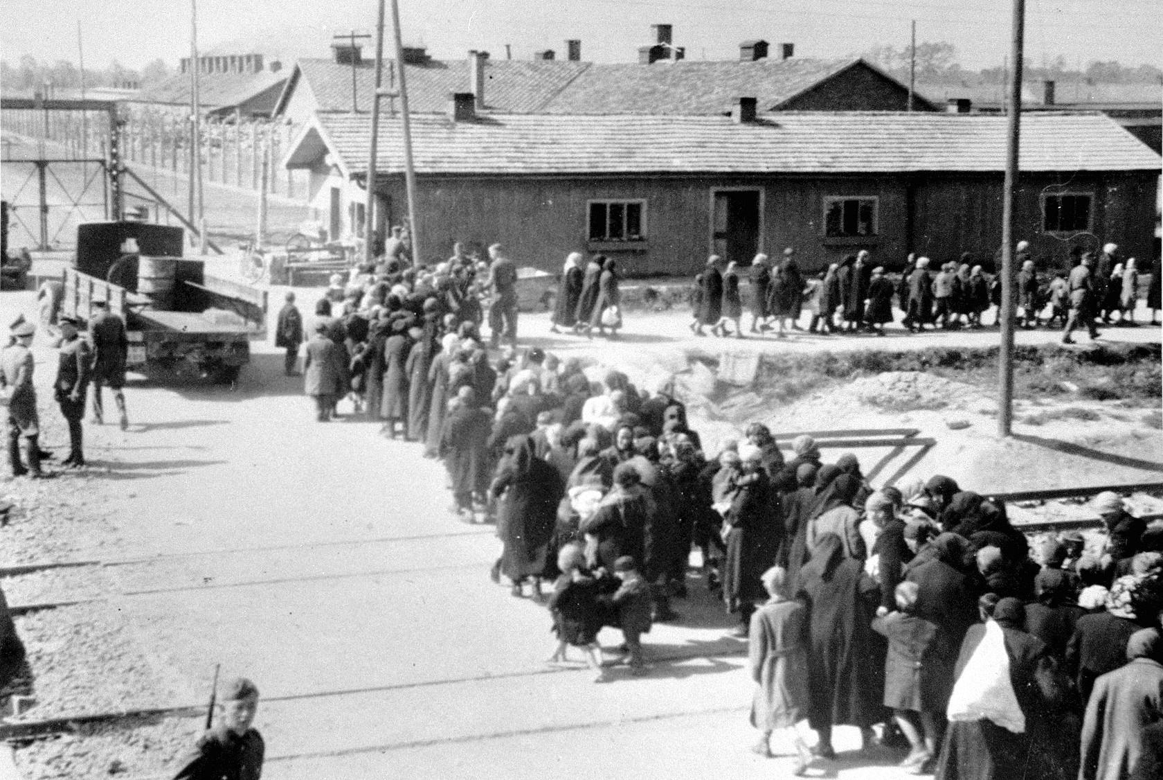 Prisoners at Auschwitz, Holocaust, Holocaust denile, Holocaust erasure, Auschwitz