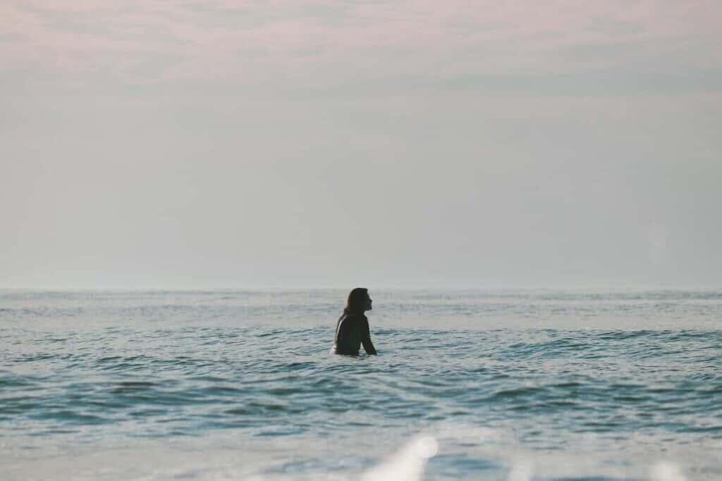 ///pexels anna mcdonald   x