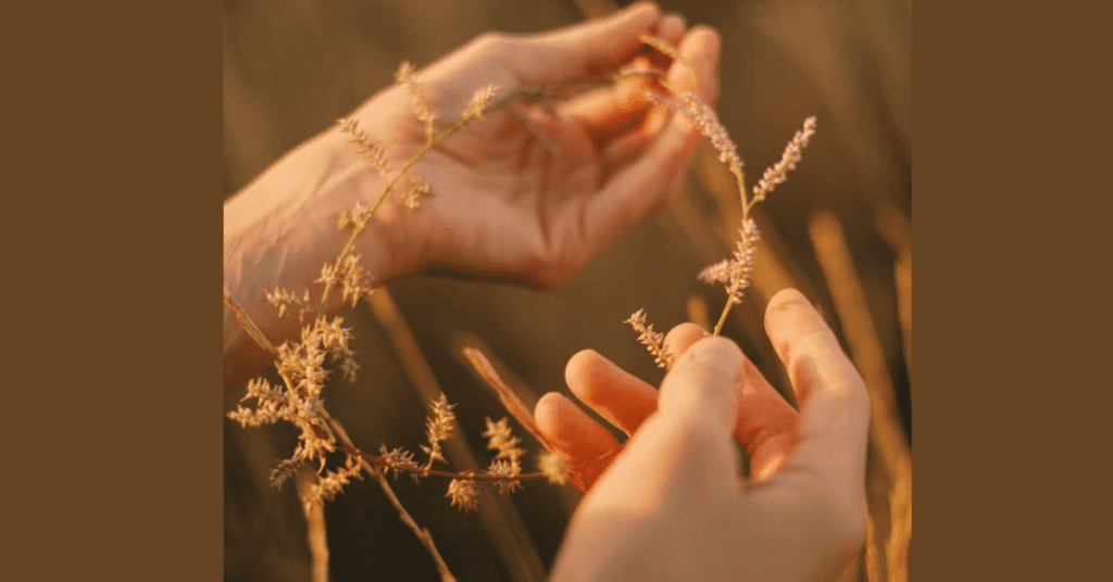 ///hands x