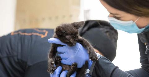 wp content/uploads///___n