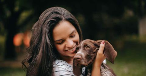 dog
