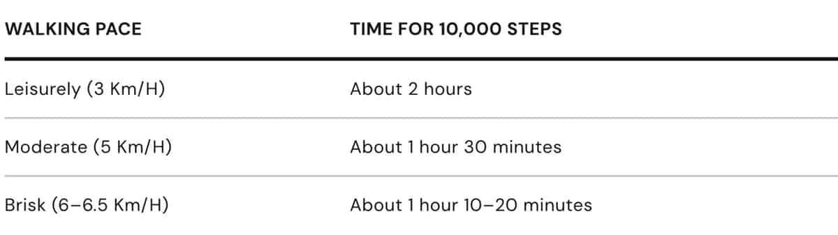 ///bodog  thousand steps