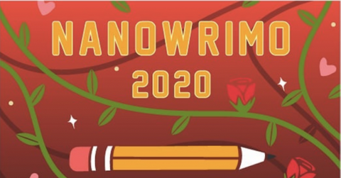 NaNoWriMo 2020
