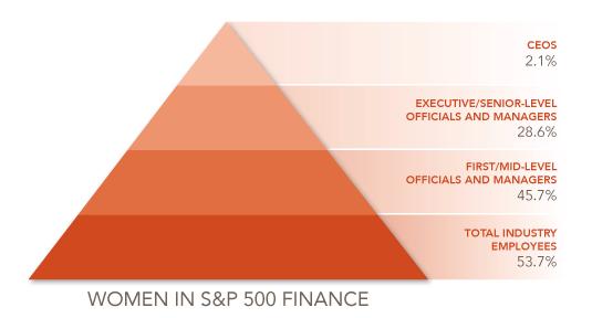 Image by Catalyst, Women CEOs of the S&P 500 (2016)