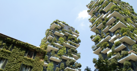 biophilic design, biophilic,