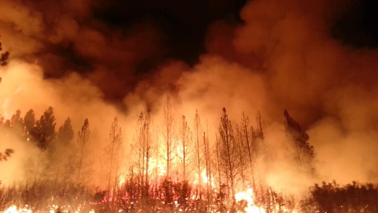 australian fires