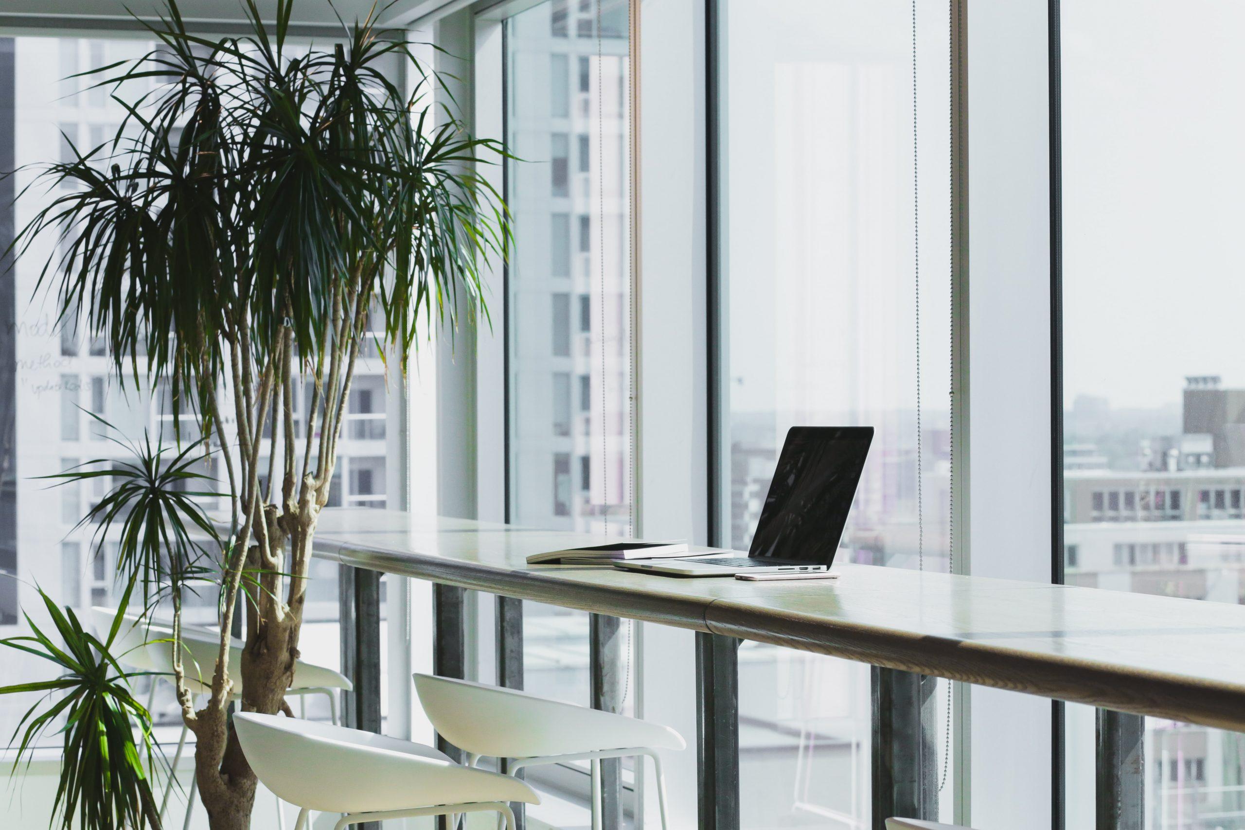 Open Office Clean Desk Space for Staying Focused